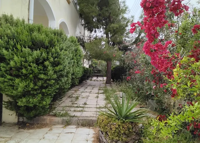 Peaceful Oasis