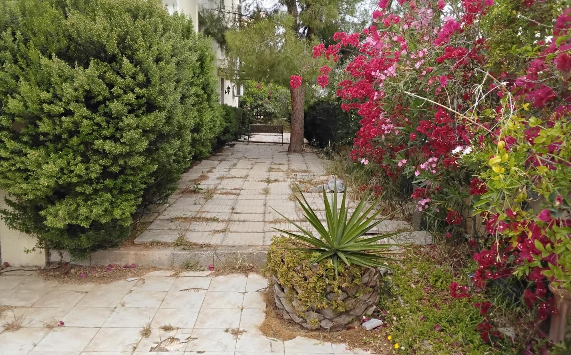 Peaceful Oasis * Athen