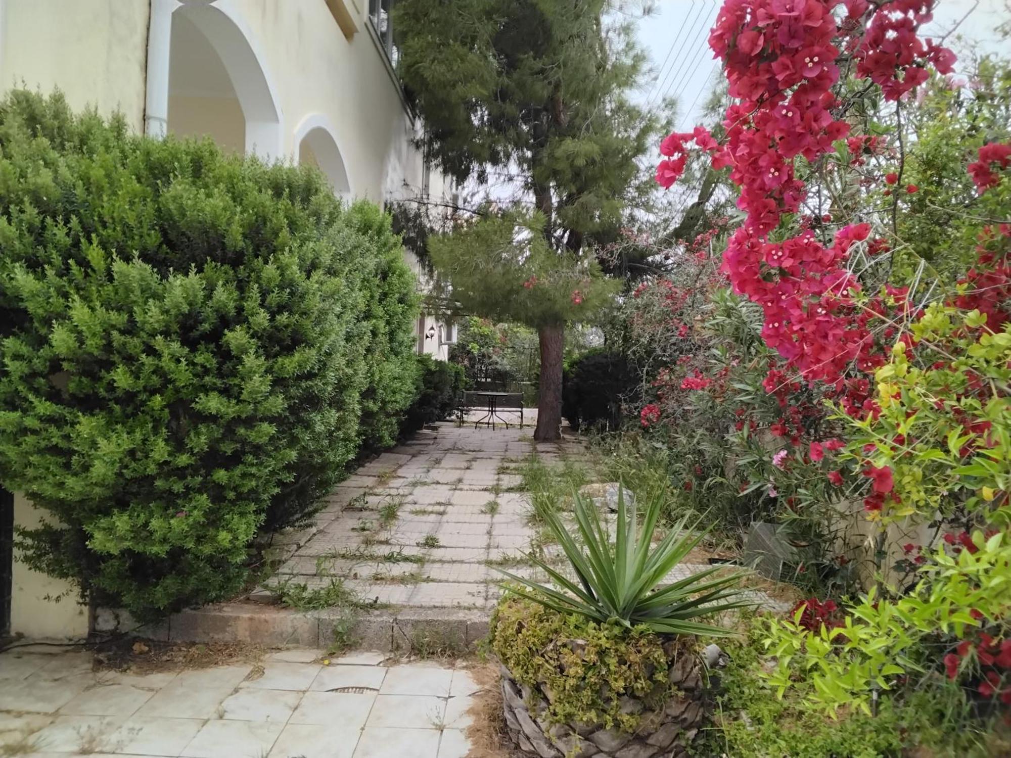 Daire Peaceful Oasis *